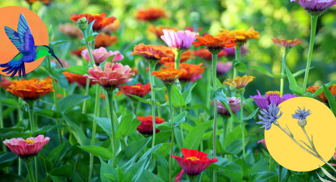 Sustainability in the Garden | 5/14 at 7pm